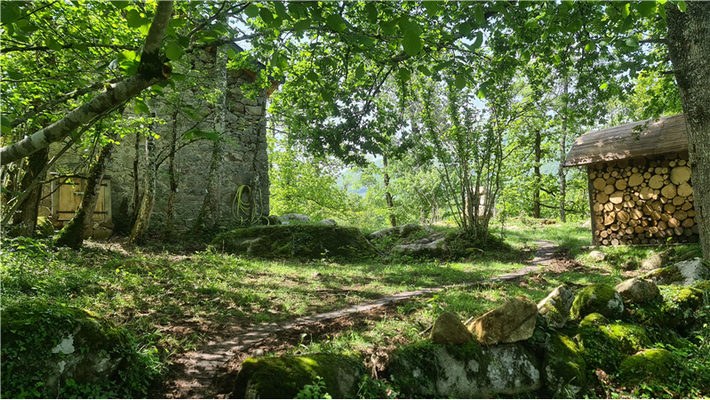 Das Äußere des Hauses